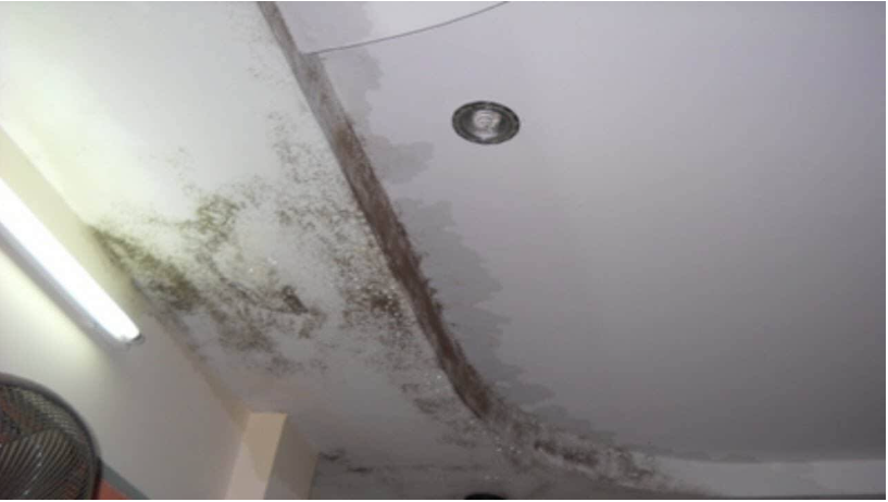 Mái tôn gây thấm dột